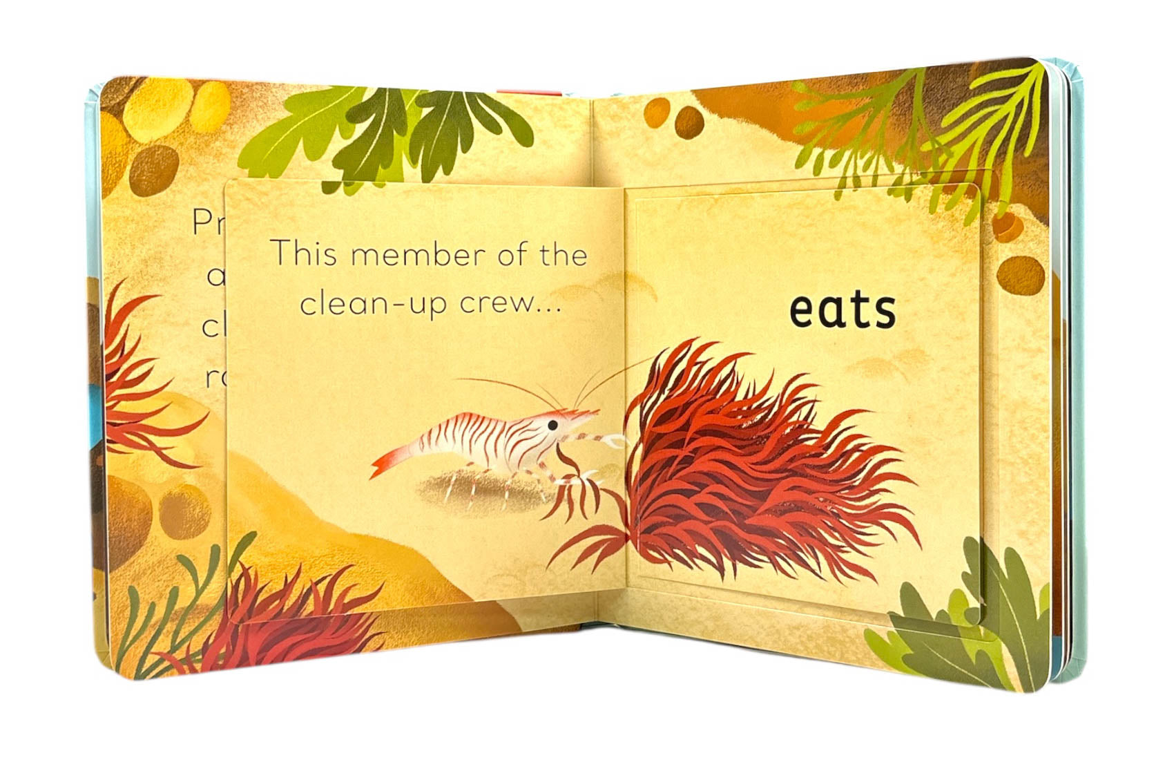 Translation missing: en.sections.featured_product.gallery_thumbnail_alt
