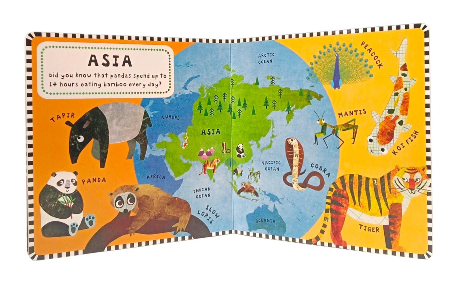 My First Animal Atlas by Isobel Lundie – book cover