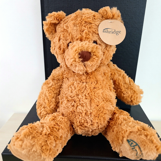Ashridge Teddy Bear