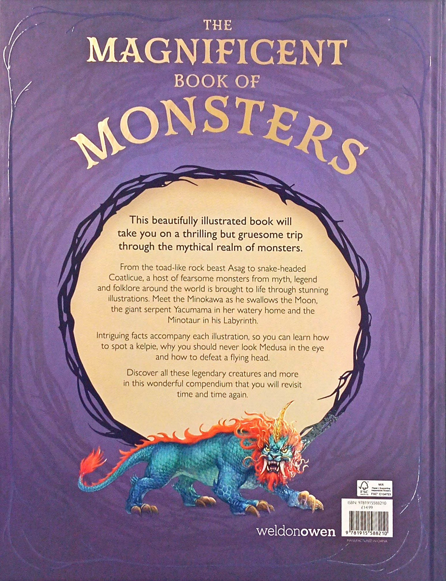 The Magnificent Book Of Monsters  BookXcess