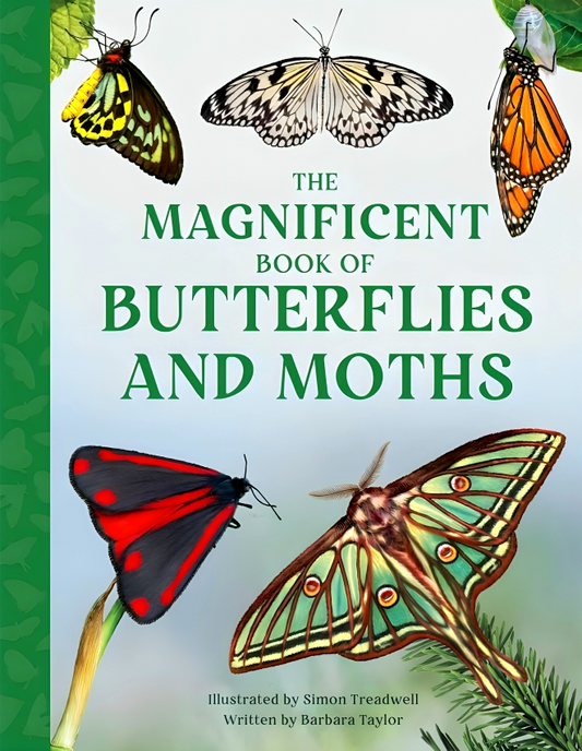 The Magnificent Book Of Butterflies And Moths