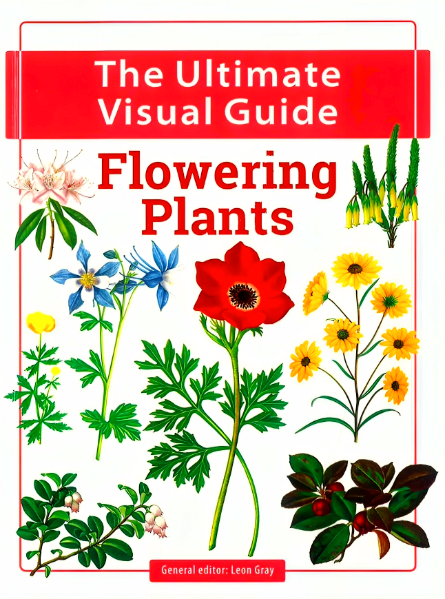 Flower Guide.pdf Flowering Plants – BookXcess