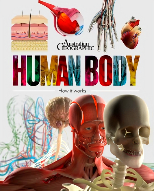 The Human Body: How it works