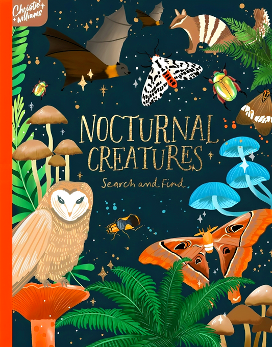 Nocturnal Creatures Search And Find