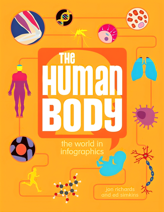 The Human Body