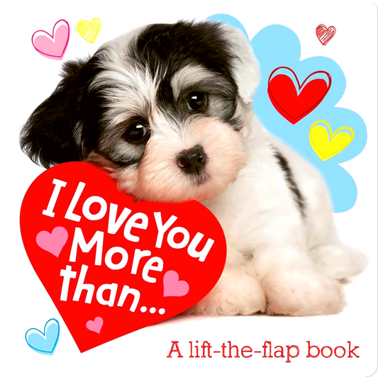 I Love You More Than...: A Lift-The-Flap Book
