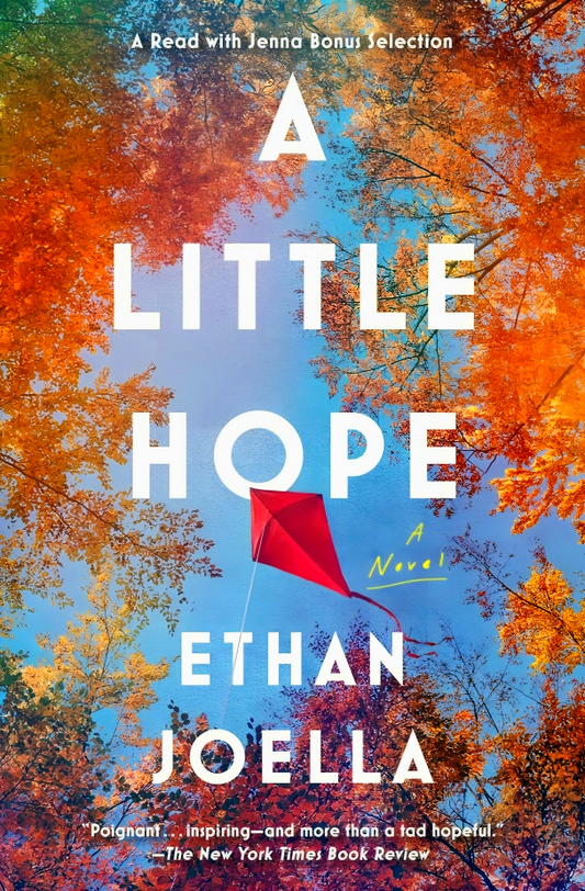 A Little Hope: A Novel