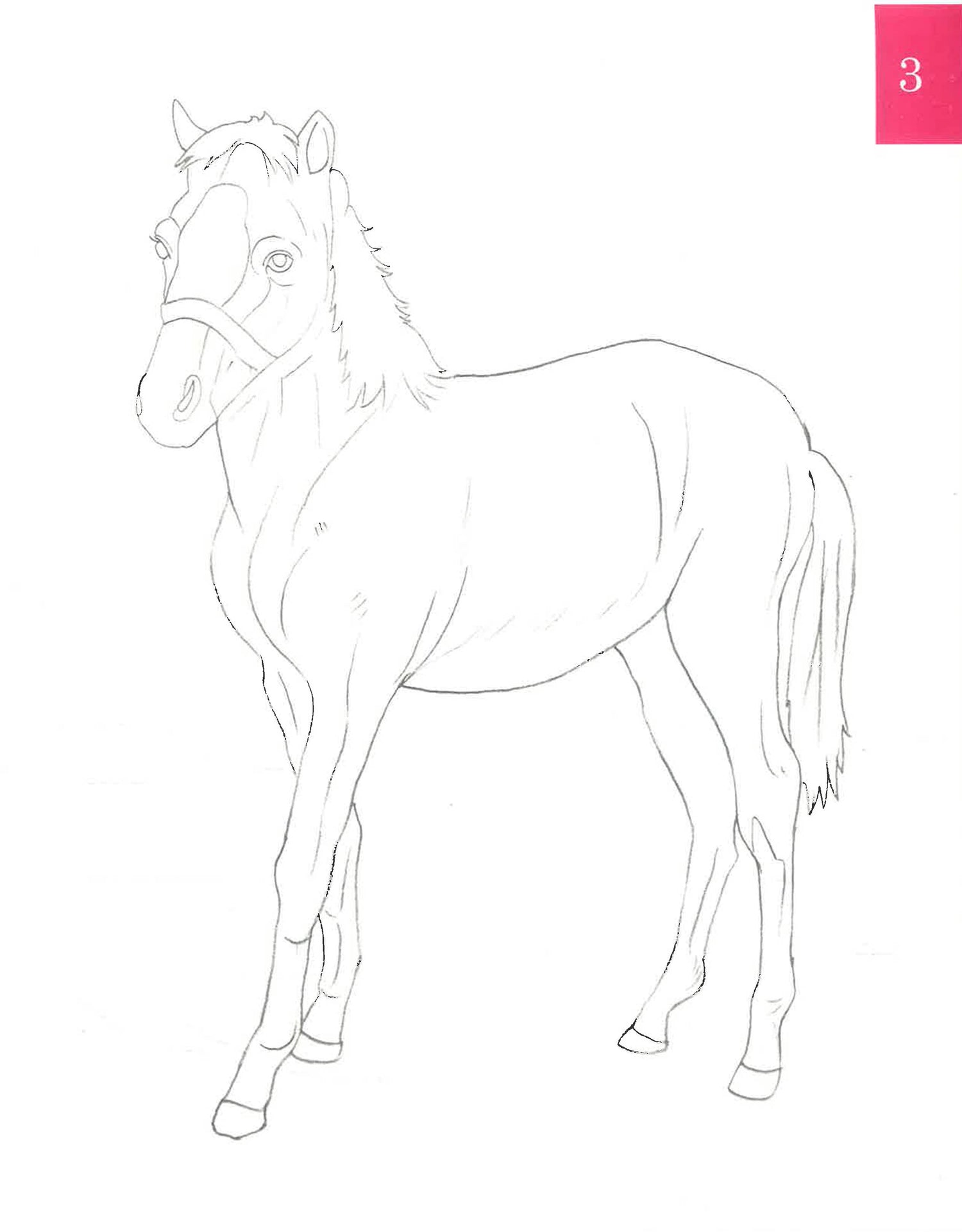 Basic Shading Animals Sample A Simple Guide To Pencil Shading: Animals – BookXcess
