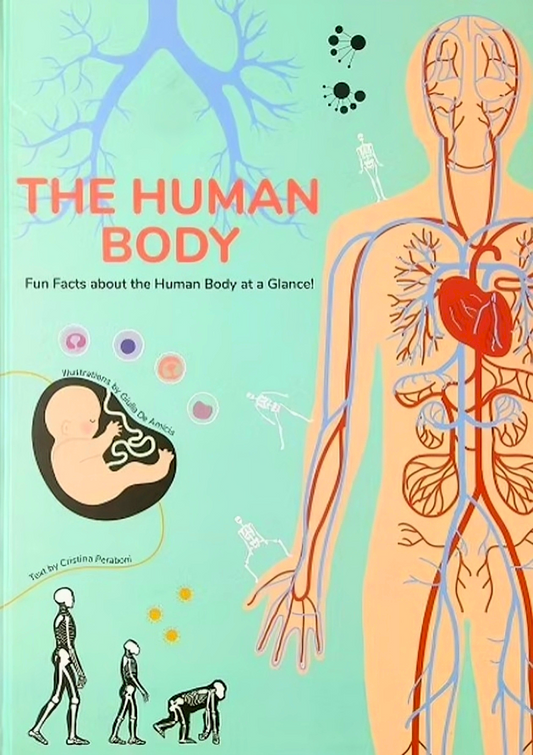 Infographics - Human Body
