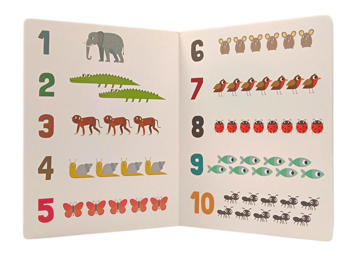 My Huge Book Of Numbers by Vmb Publishers – book cover
