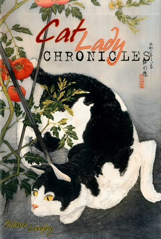 Cat Lady Chronicles