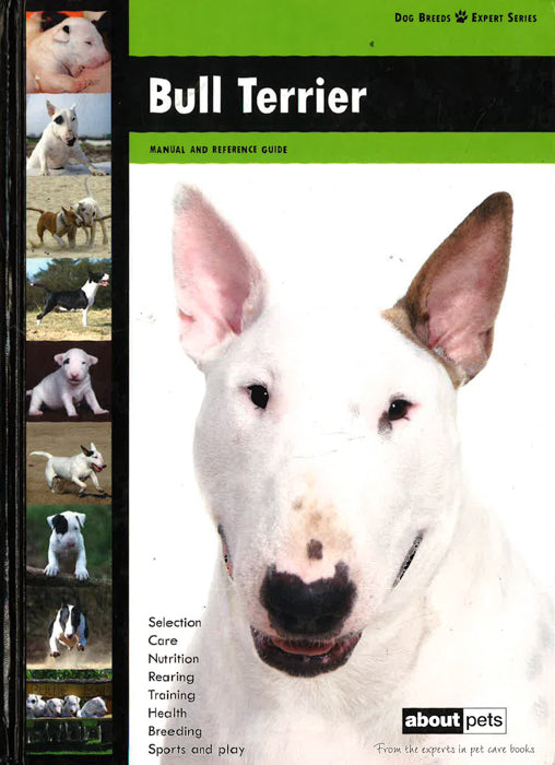 Bull Terrier