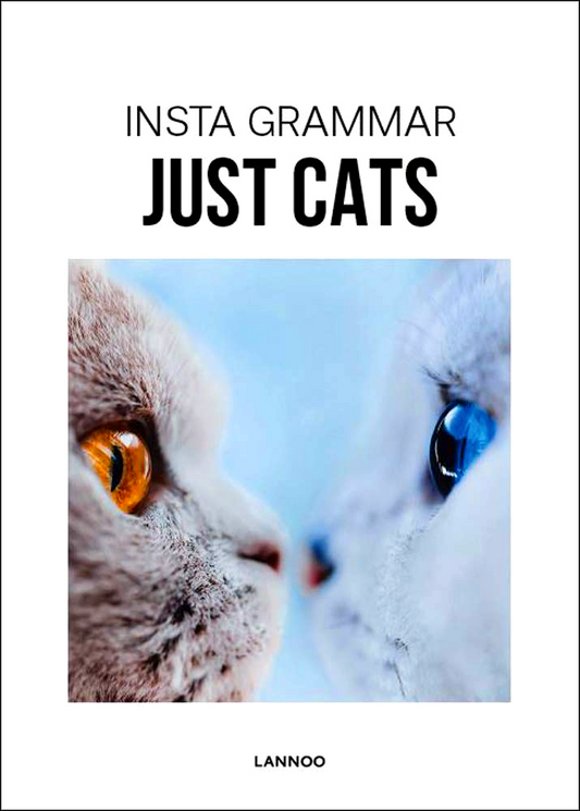 Insta Grammar: Just Cats