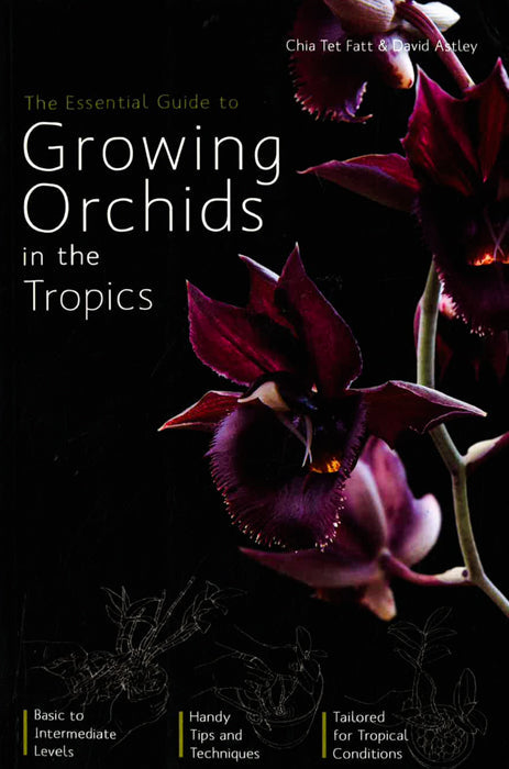 The Essential Guide To Growing Orchids In The Tro
