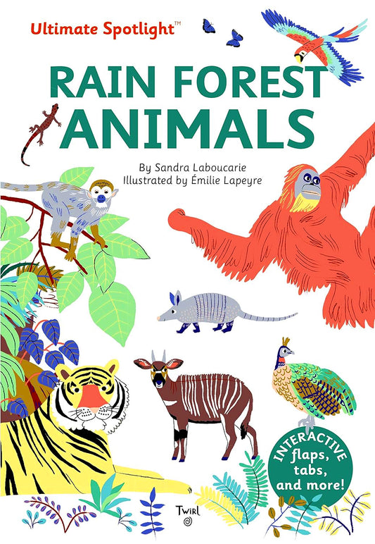 Ultimate Spotlight: Rain Forest Animals