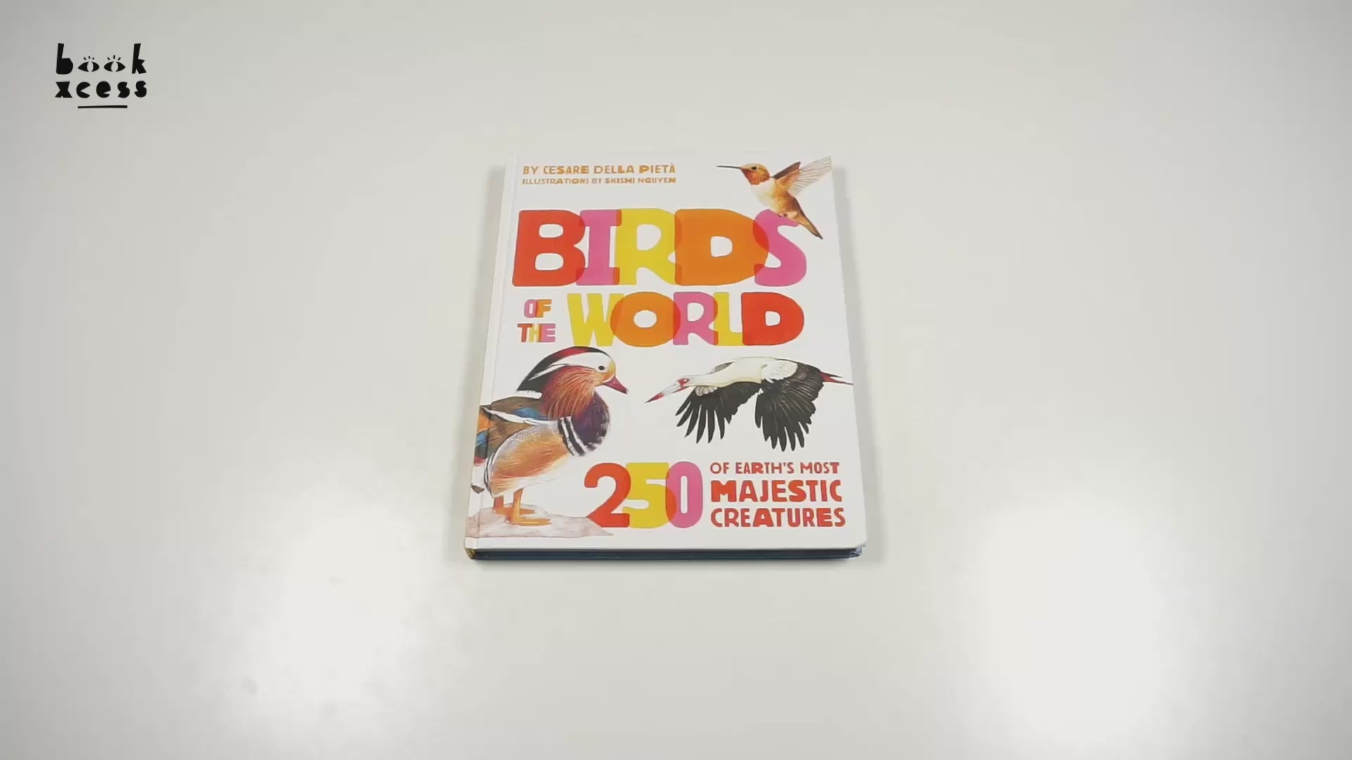 Translation missing: en.sections.featured_product.video_thumbnail_alt
