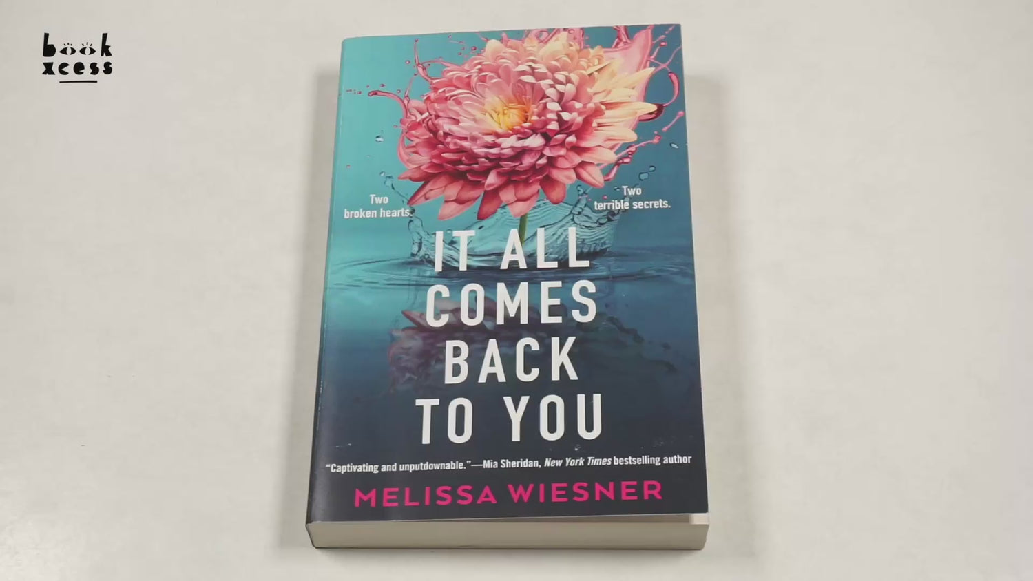 It All Comes Back To You by Melissa Wiesner – book cover