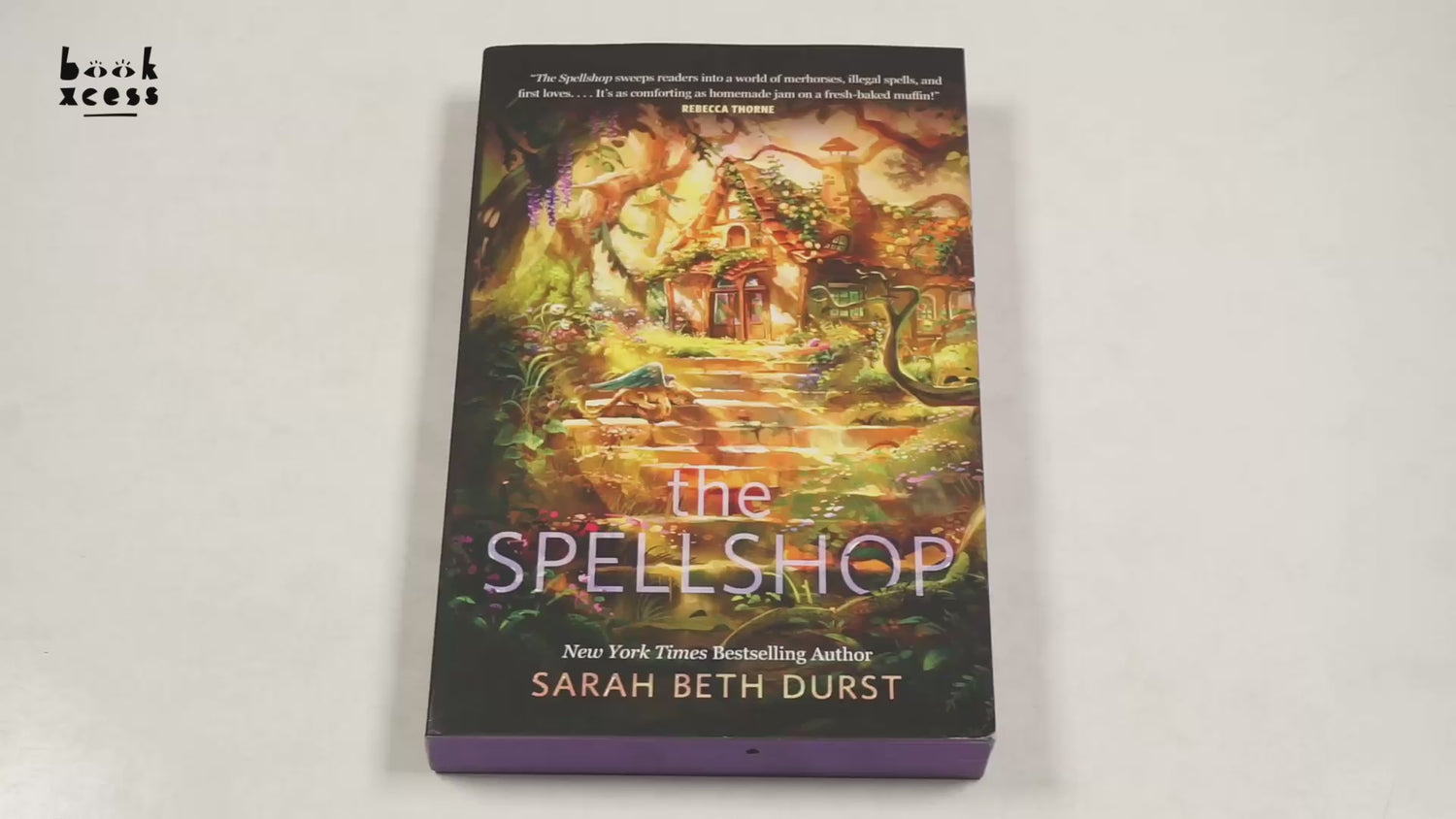 The Spellshop by Sarah Beth Durst – book cover