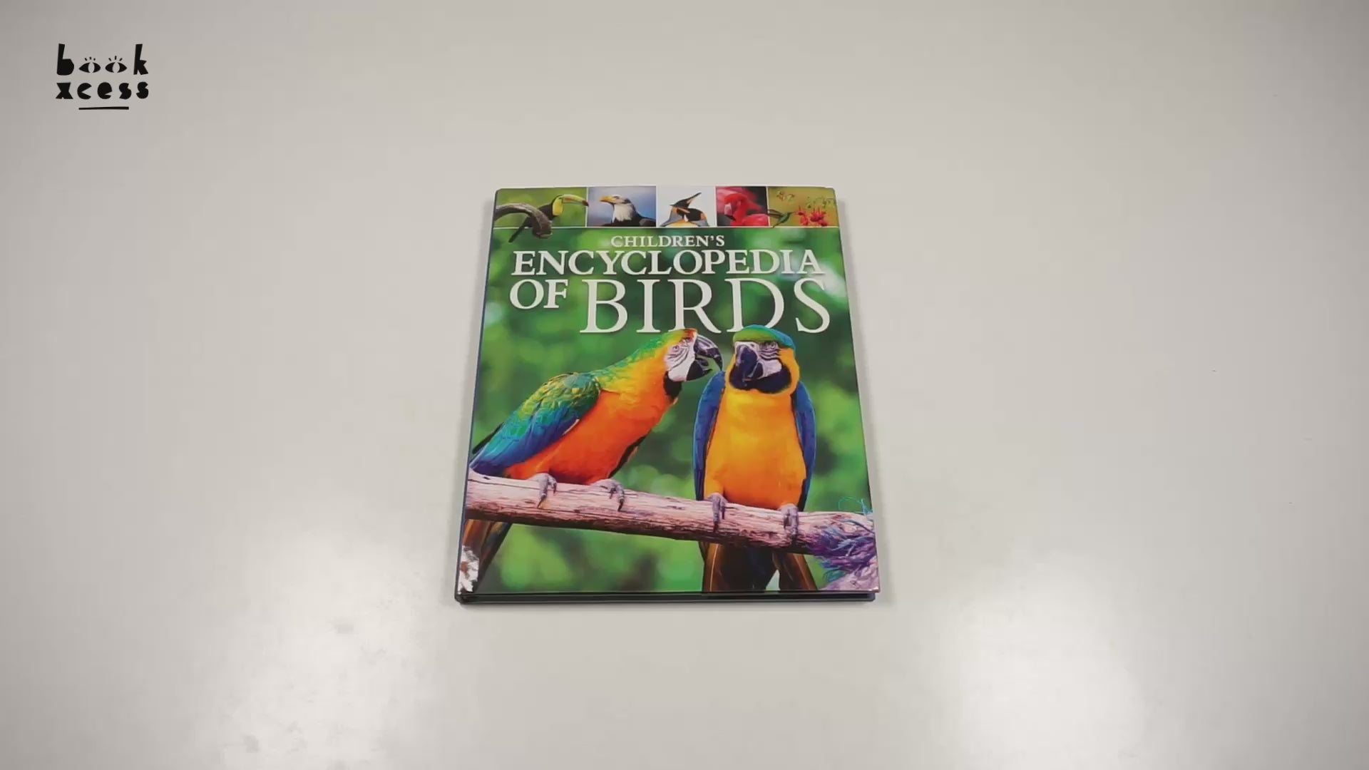 Translation missing: en.sections.featured_product.video_thumbnail_alt
