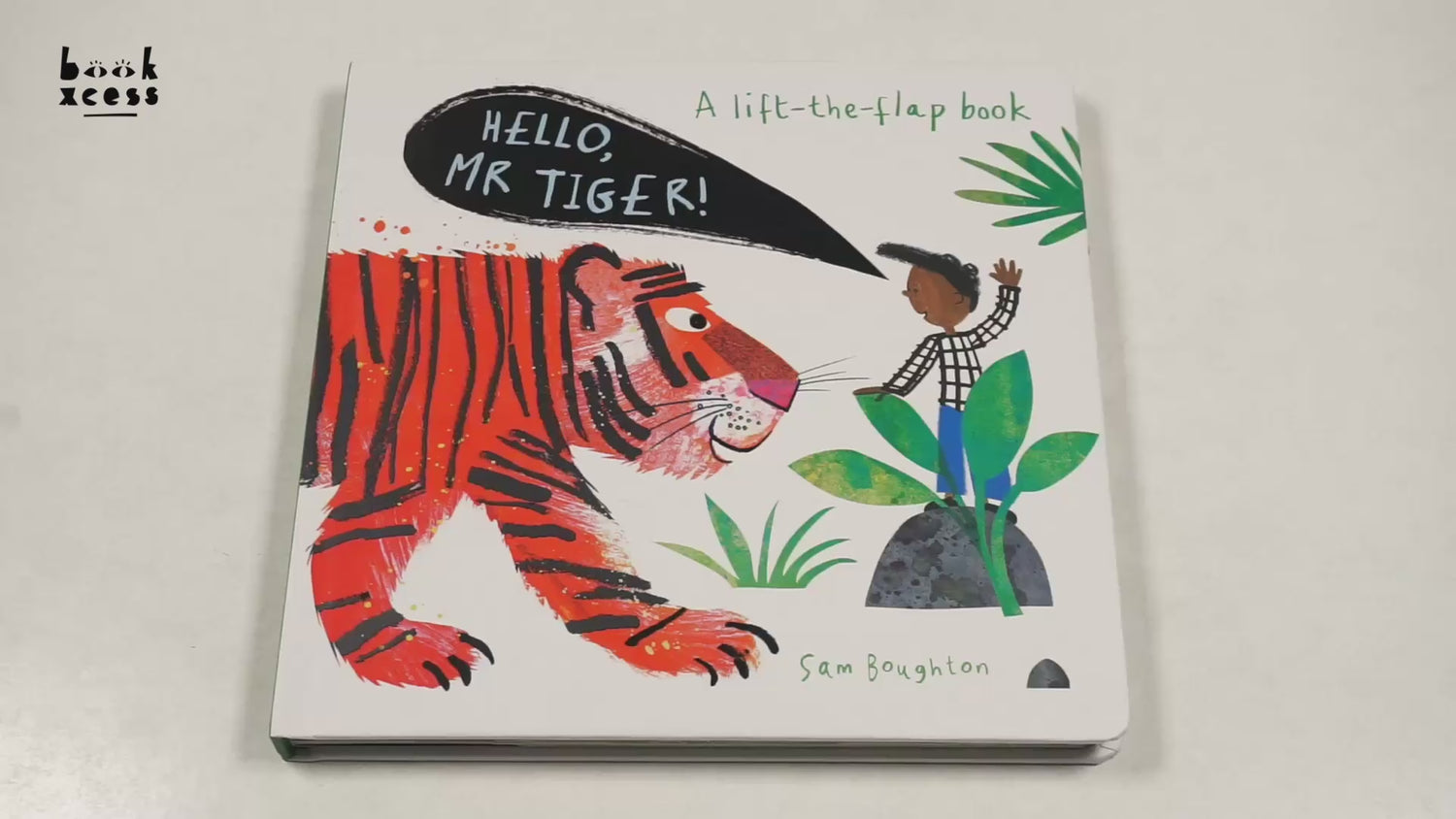 Hello, Mr Tiger! by Sam Boughton – book cover