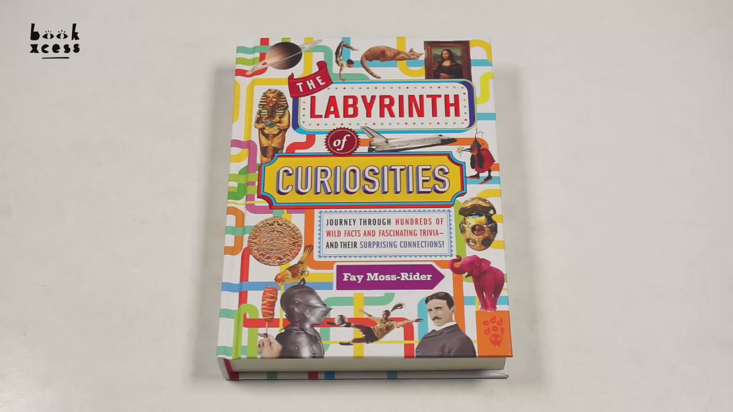The Labyrinth Of Curiosities: Journey Through Hundreds Of Wild Facts And Fascinating Trivia--And Their Surprising Connections! by Fay Moss-Rider – book cover