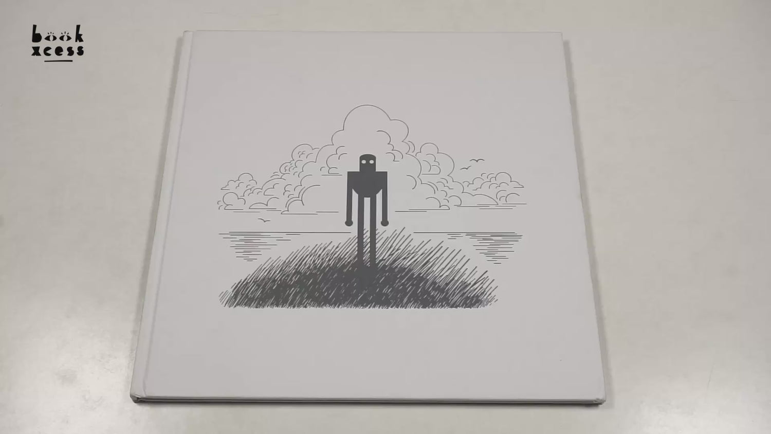 The Wild Robot On The Island by Peter Brown – book cover