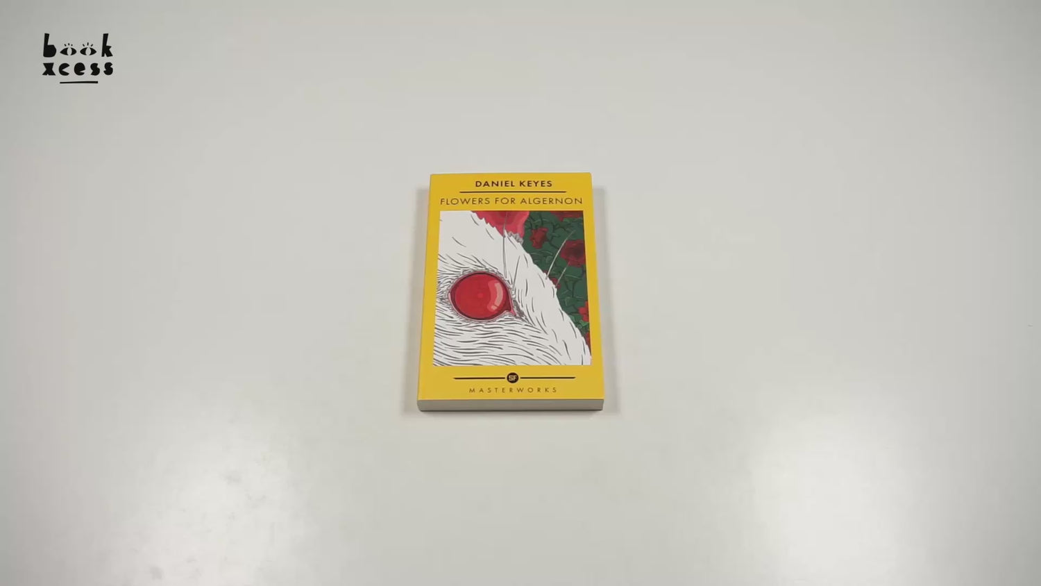 7aea70b2784e45a4b9df5ae19c2900