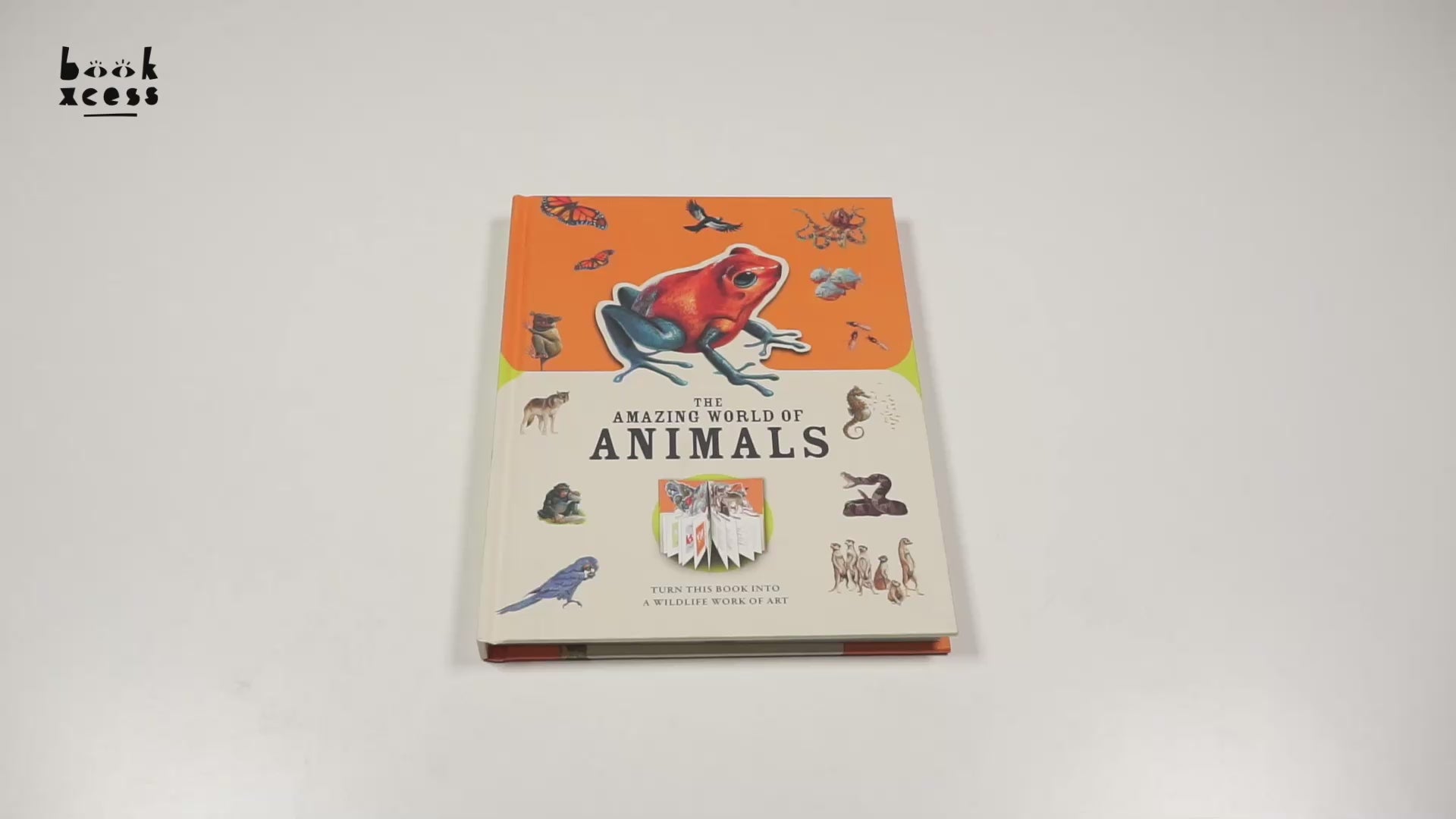 Translation missing: en.sections.featured_product.video_thumbnail_alt
