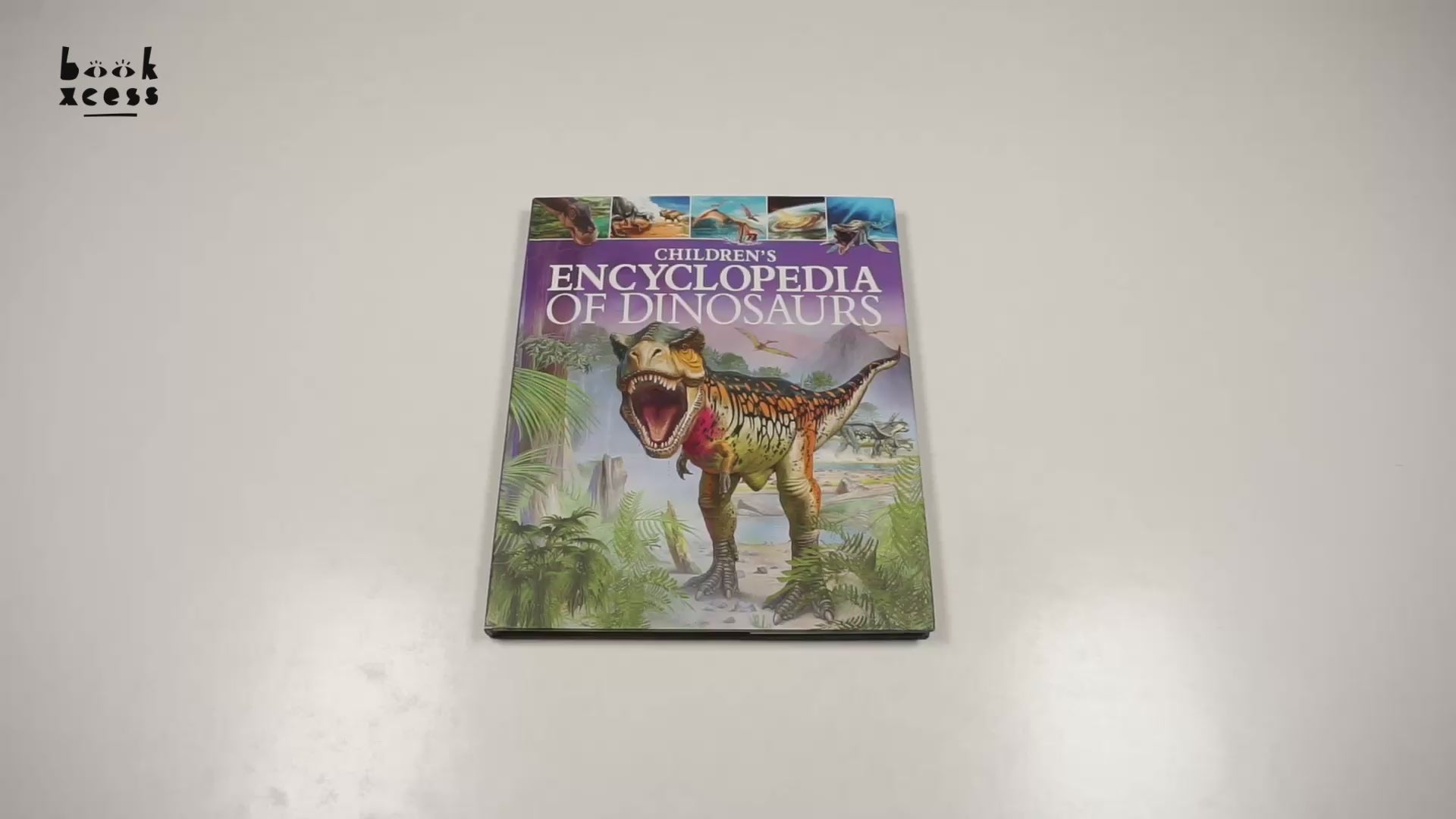 Translation missing: en.sections.featured_product.video_thumbnail_alt
