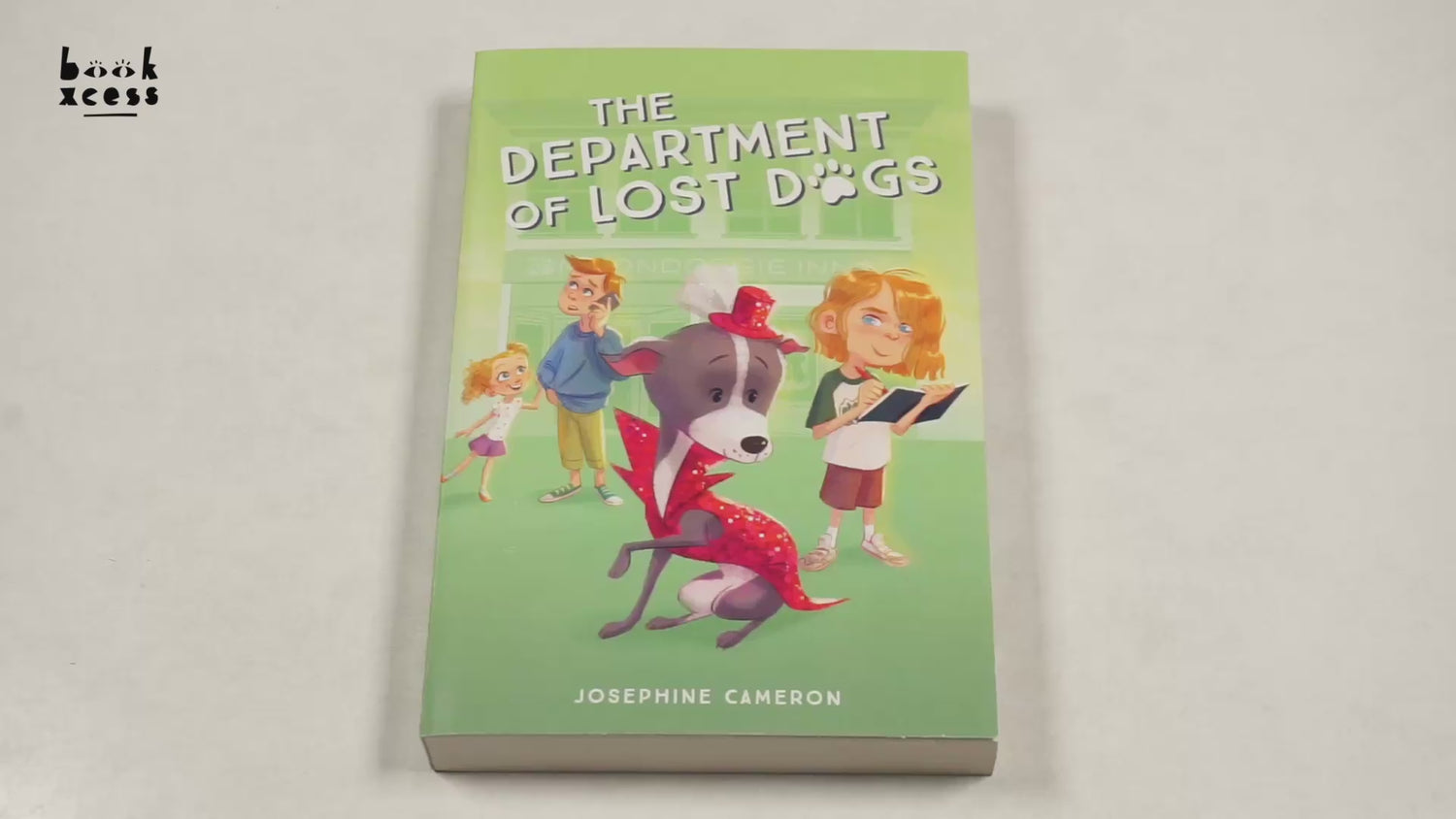 The Department Of Lost Dogs by Josephine Cameron – book cover