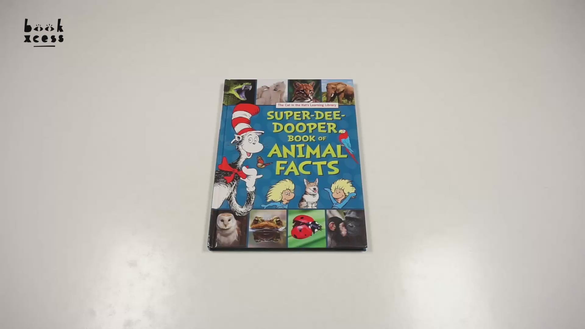 Translation missing: en.sections.featured_product.video_thumbnail_alt
