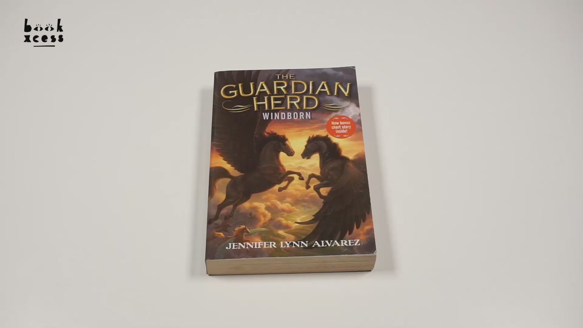 Translation missing: en.sections.featured_product.video_thumbnail_alt
