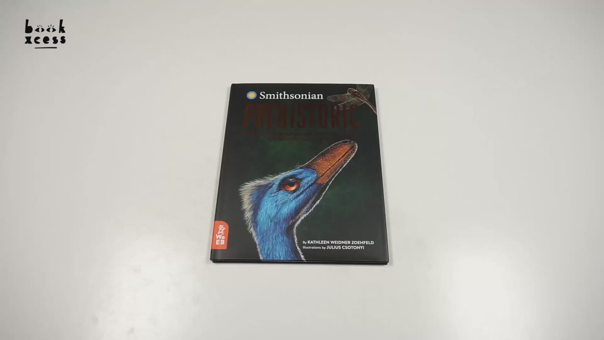 Translation missing: en.sections.featured_product.video_thumbnail_alt
