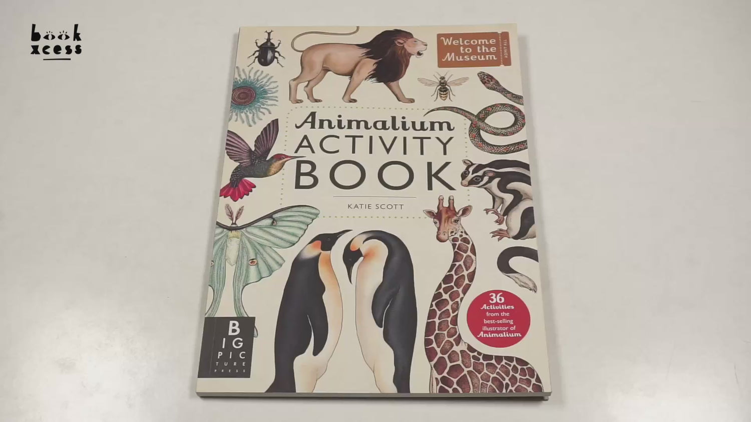 Animalium Activity Book by Katie Scott – book cover