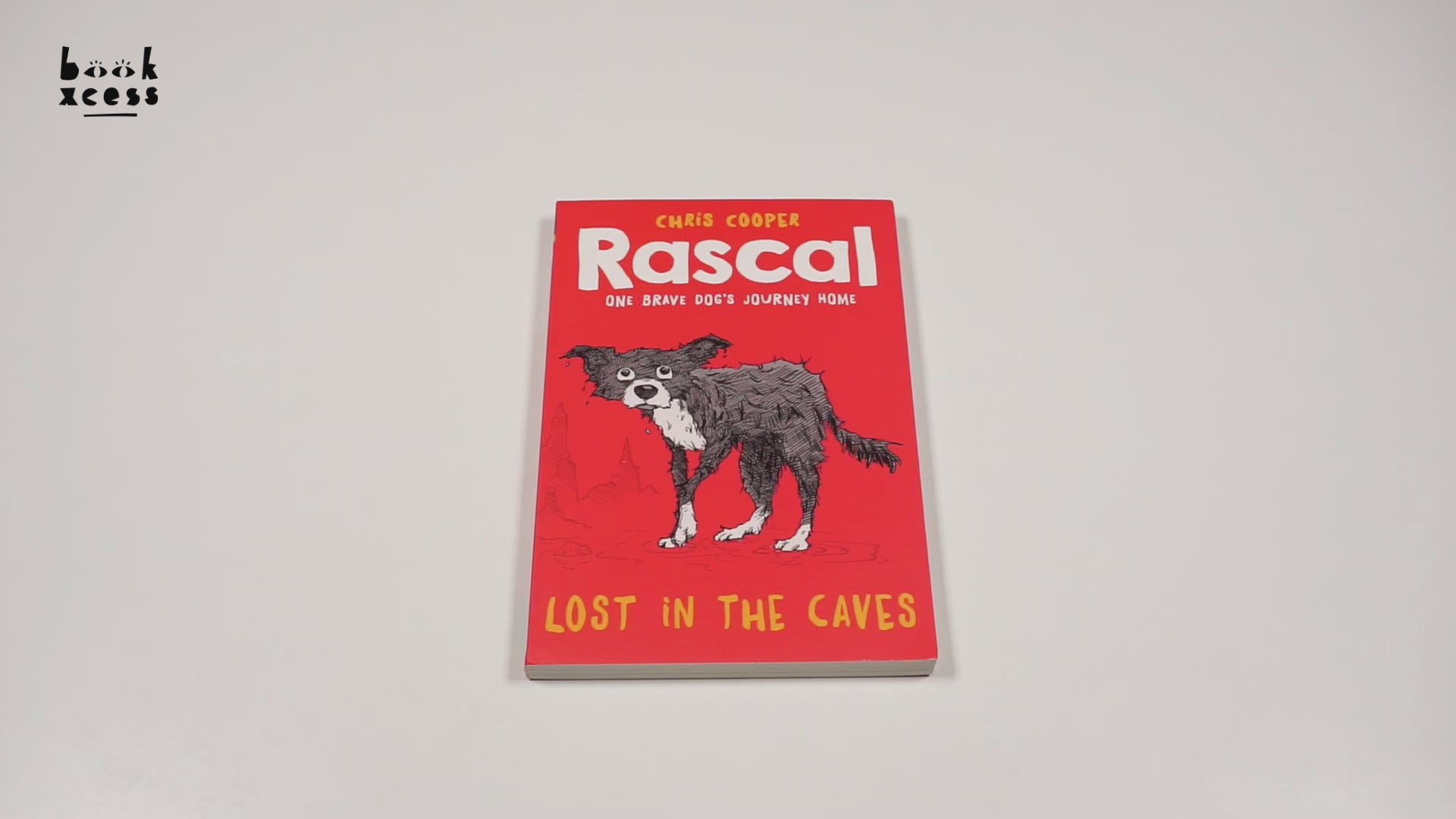 Translation missing: en.sections.featured_product.video_thumbnail_alt
