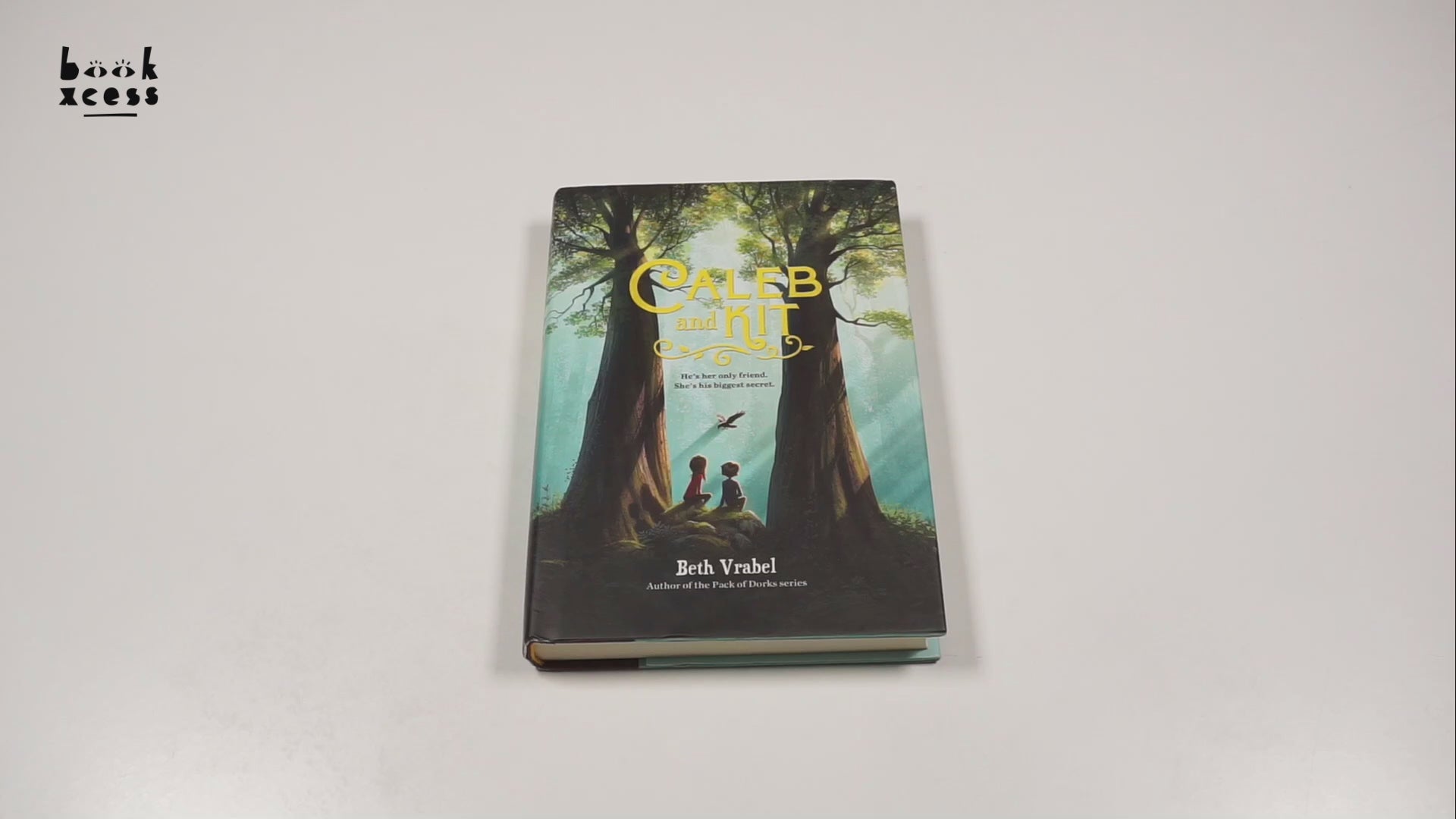 Translation missing: en.sections.featured_product.video_thumbnail_alt
