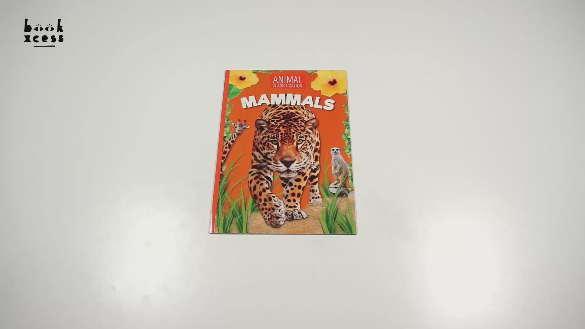 Translation missing: en.sections.featured_product.video_thumbnail_alt
