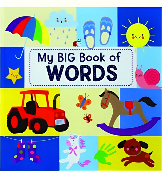 My Big Book Of Words