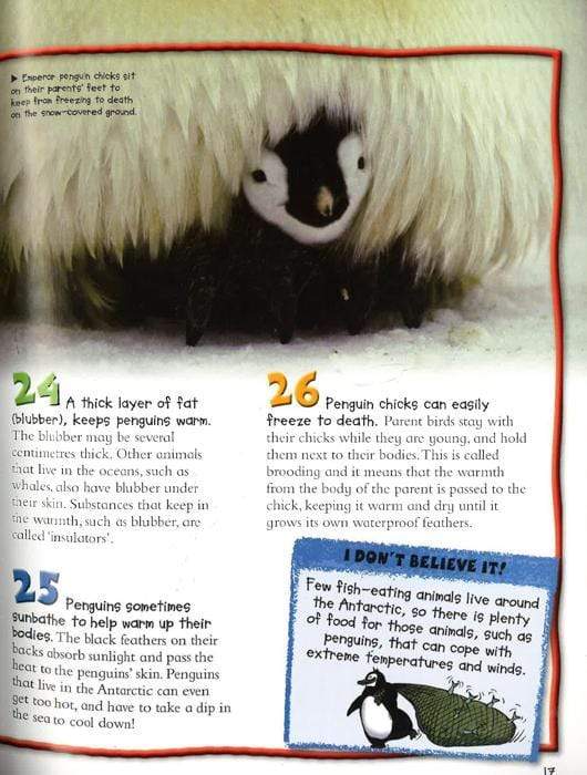 100 Facts Penguins