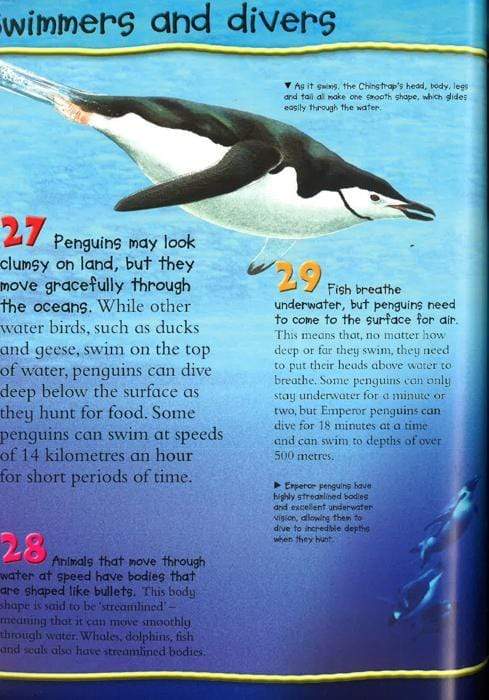 100 Facts Penguins