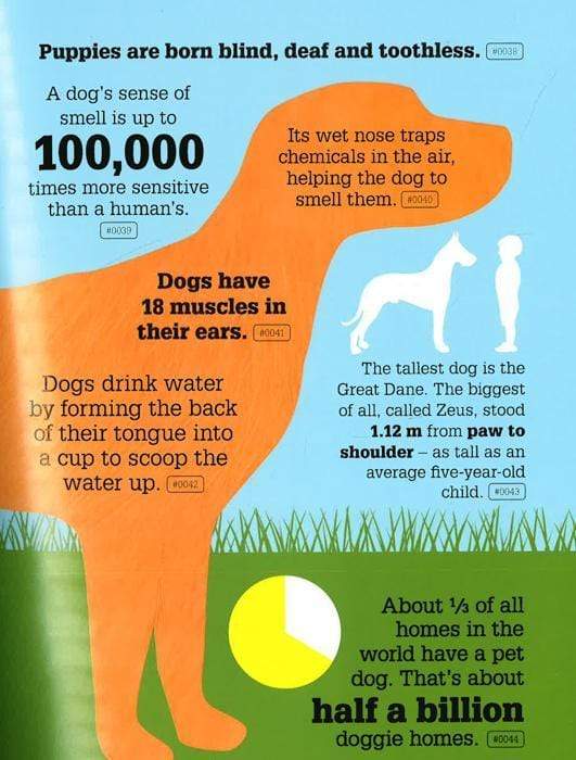 1000 Strange But True Animal Facts (Hb)