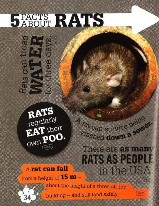 1000 Strange But True Animal Facts (Hb)