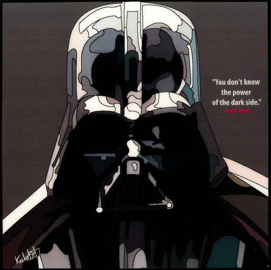 Darth Vader: Grey Pop Art (10'X10')