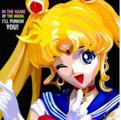 Sailormoon In The Name (10X10)