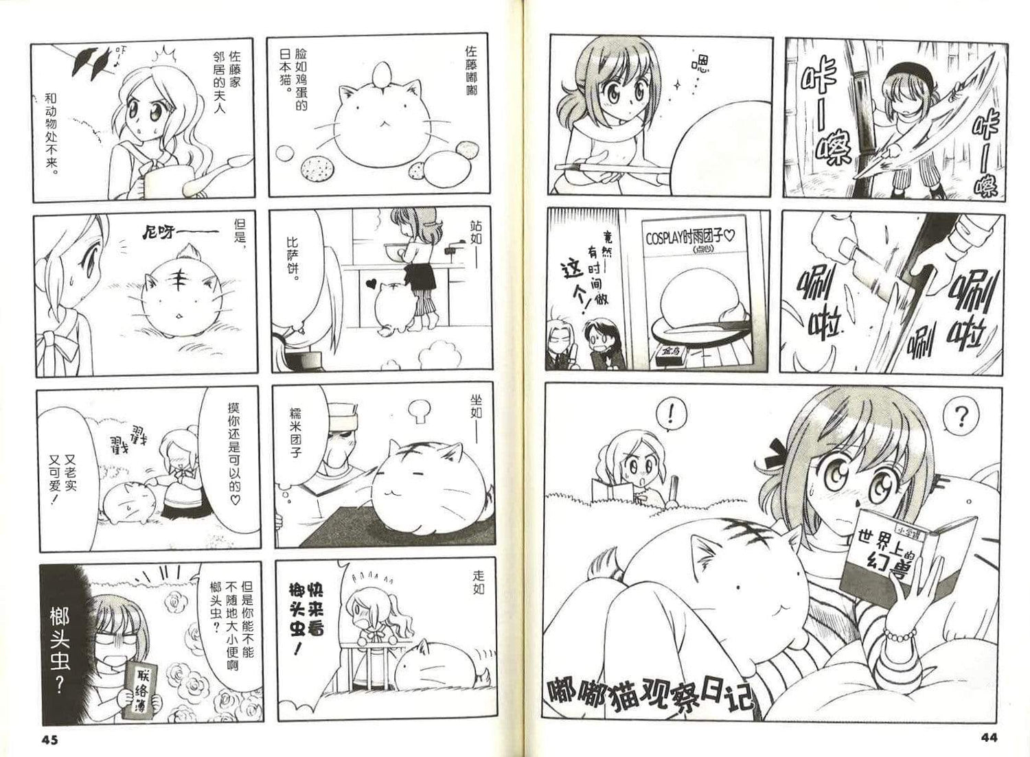 嘟嘟猫观察日记3