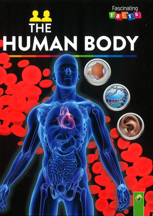 Fascinating Facts: The Human Body