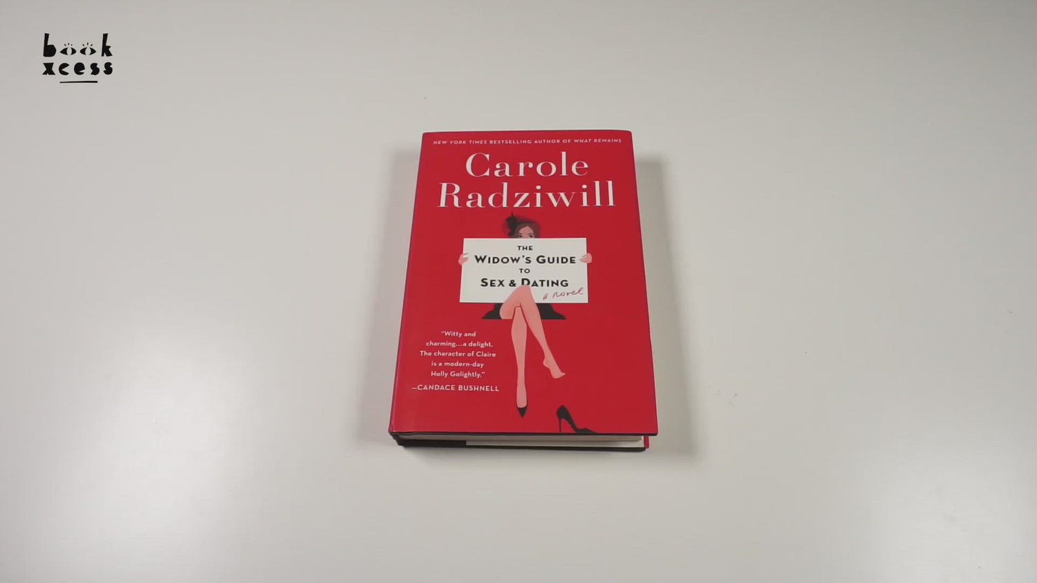 The Widow's Guide To Sex And Dating – BookXcess