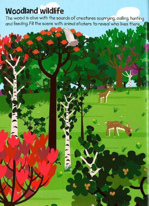 555 Sticker Fun Animals