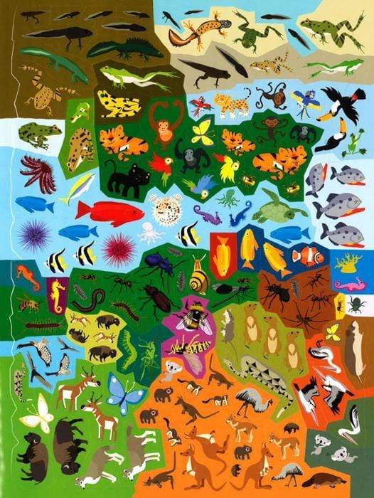 555 Sticker Fun Animals