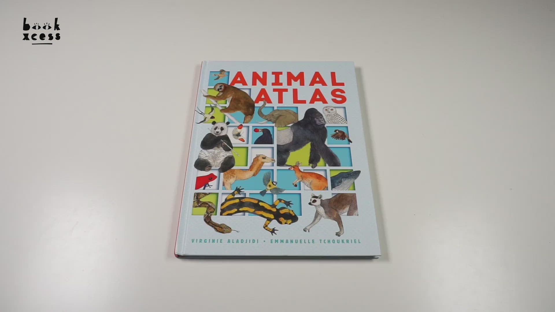 Translation missing: en.sections.featured_product.video_thumbnail_alt
